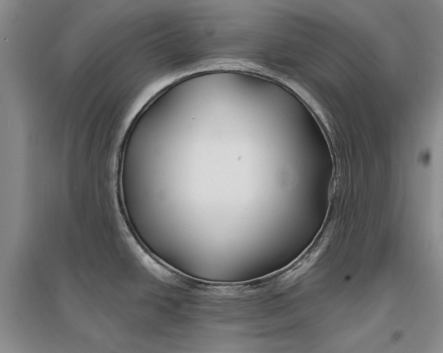 X0000096991438200802291159