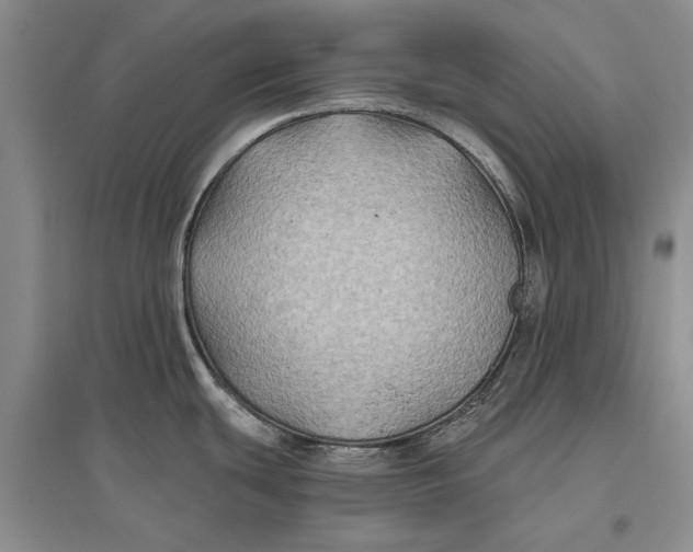 X0000096991439200802291159