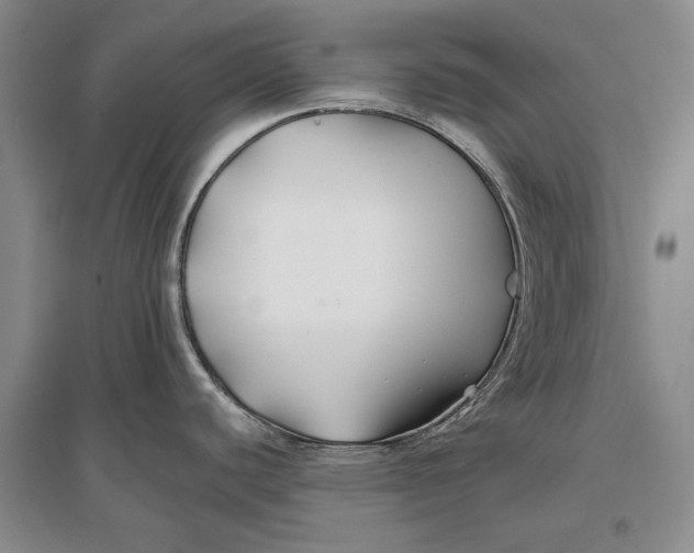 X0000096991440200802291159