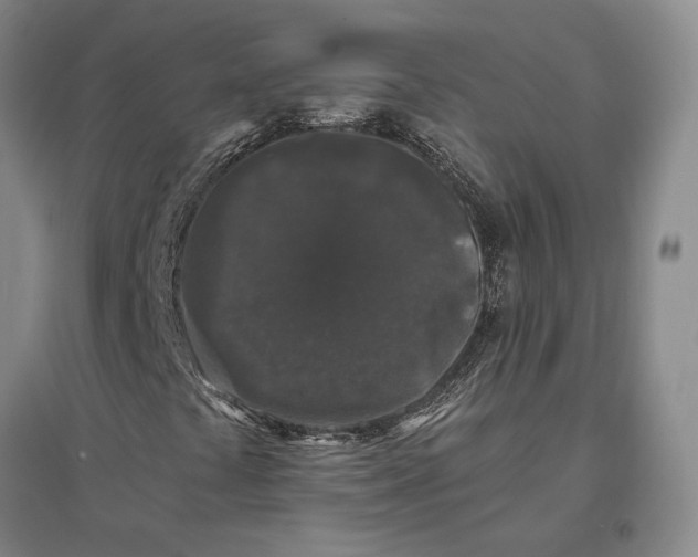 X0000096991441200802291158