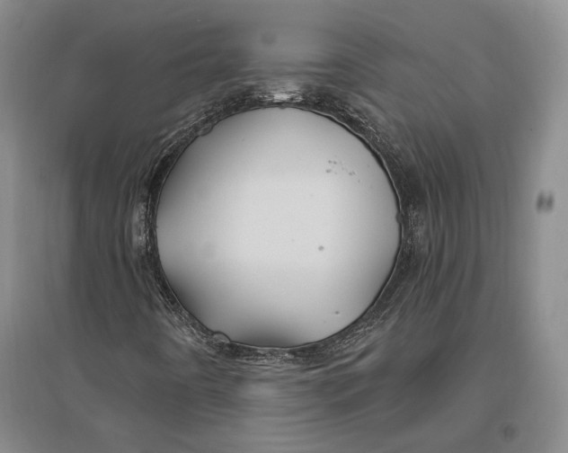 X0000096991442200802291158