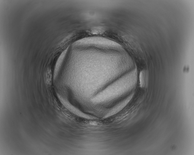 X0000096991443200802291158