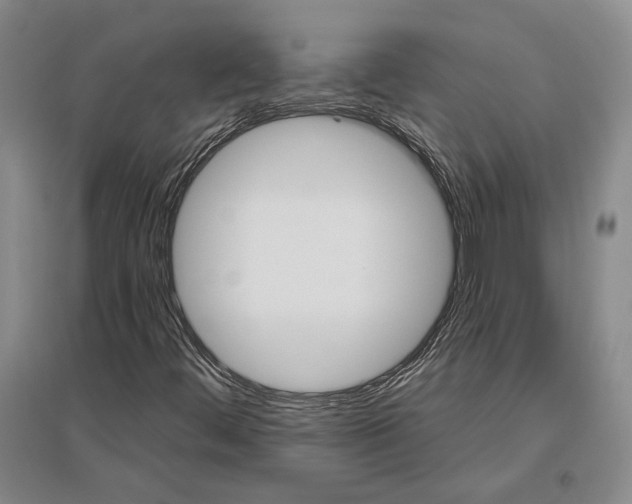 X0000096991444200802291158