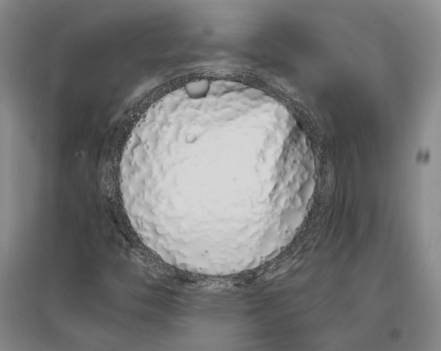 X0000096991446200802291158