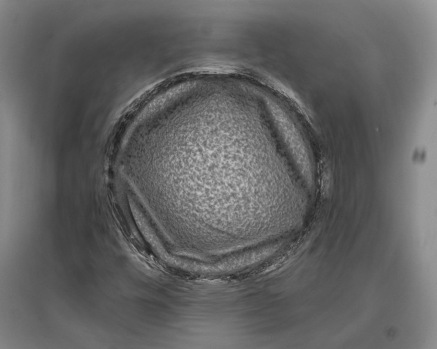 X0000096991448200802291158