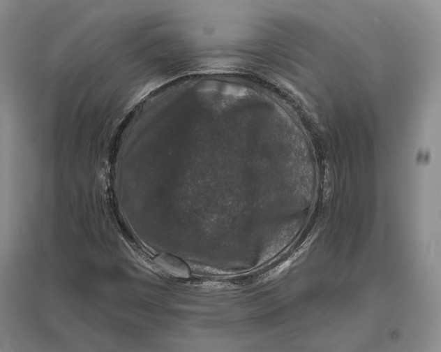 X0000096991449200802291158