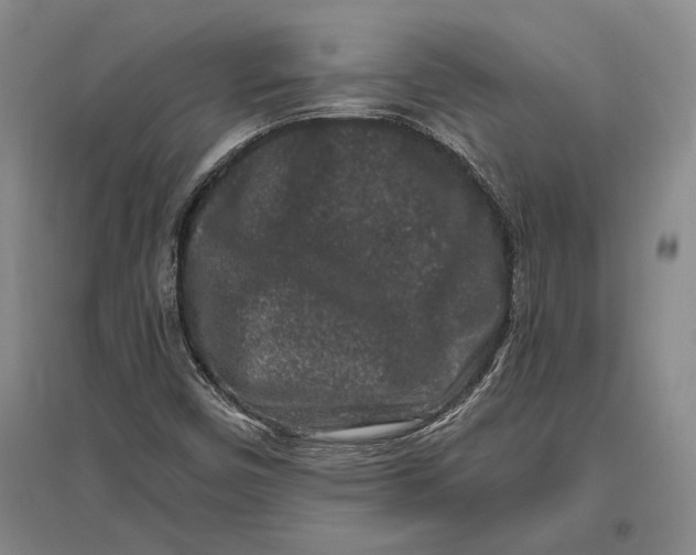 X0000096991450200802291158