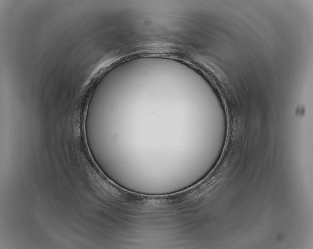 X0000096991451200802291158