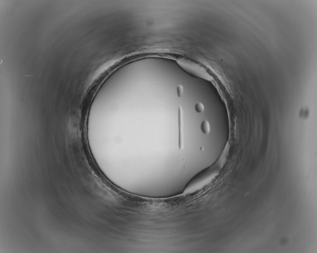 X0000096991452200802291158