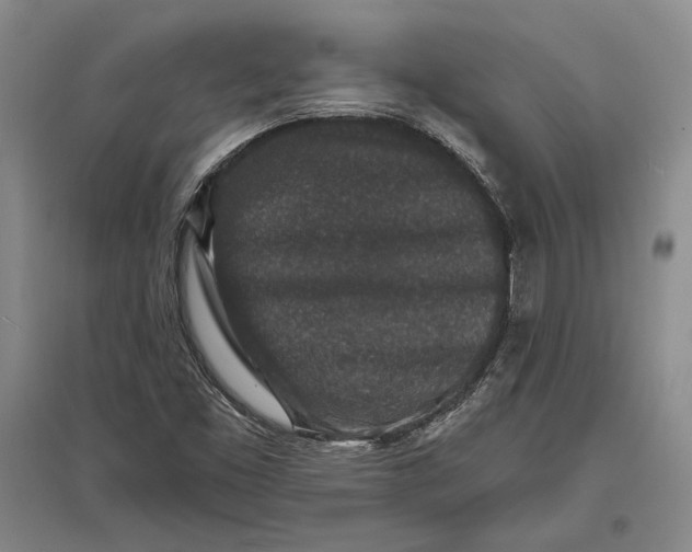 X0000096991453200802291158