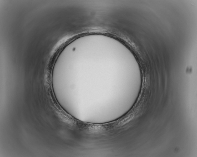 X0000096991454200802291158