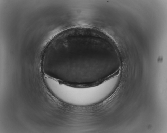 X0000096991455200802291158