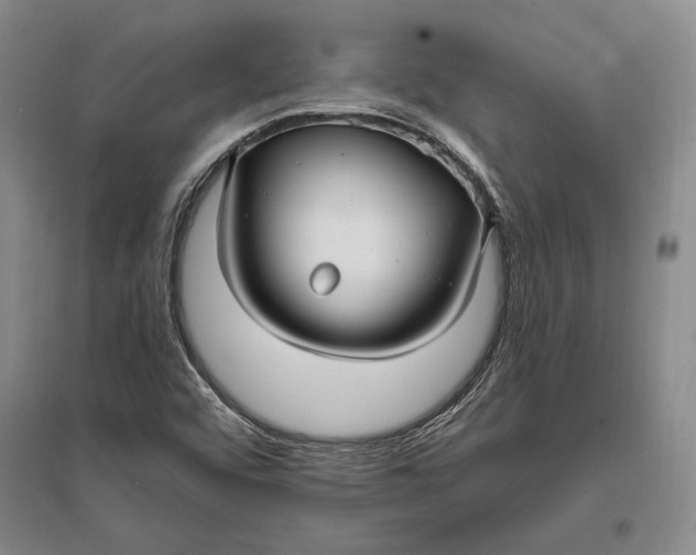 X0000096991456200802291158