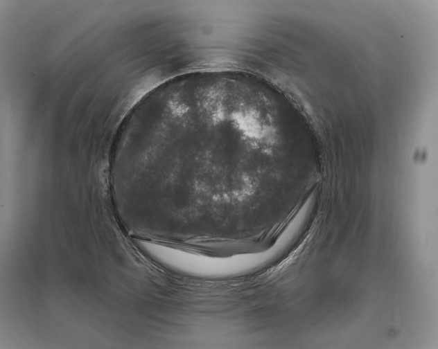 X0000096991457200802291158