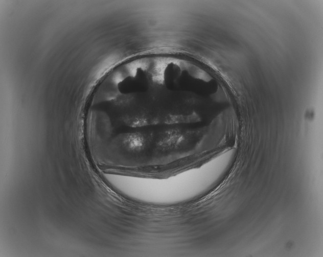 X0000096991459200802291158