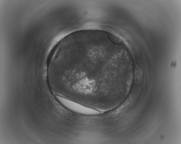 X0000096991461200802291158