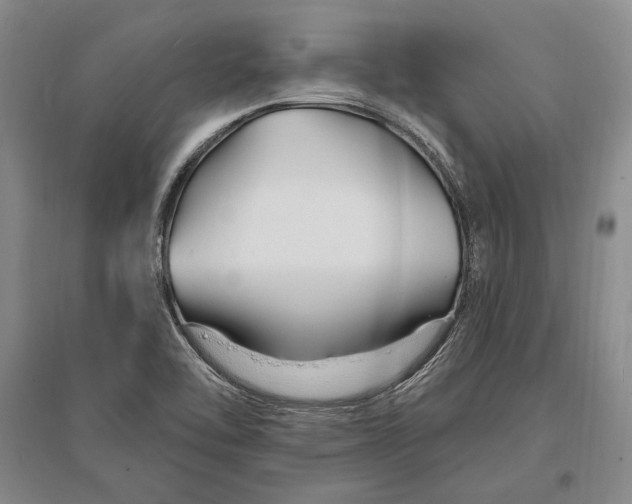 X0000096991462200802291158