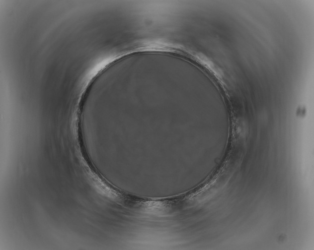 X0000096991463200802291158