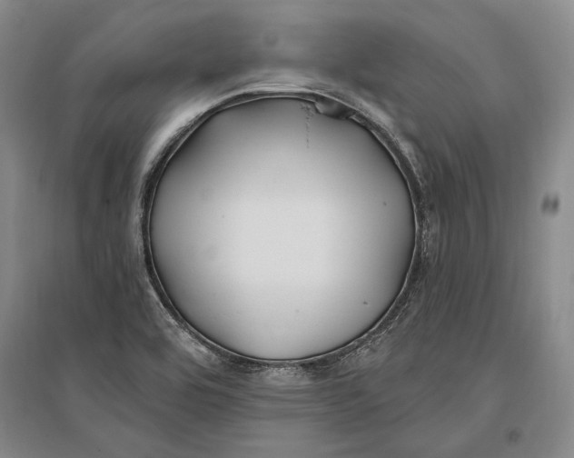 X0000096991464200802291158