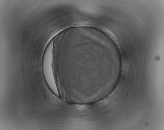 X0000096991465200802291158