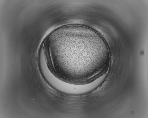 X0000096991467200802291158