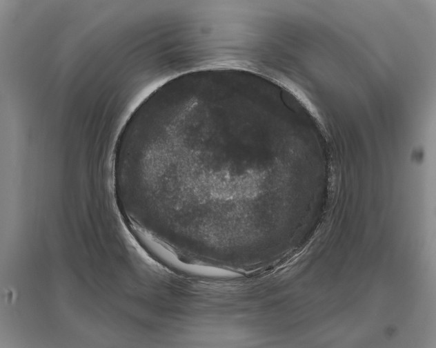 X0000096991468200802291158