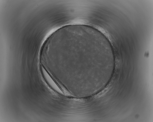 X0000096991469200802291158