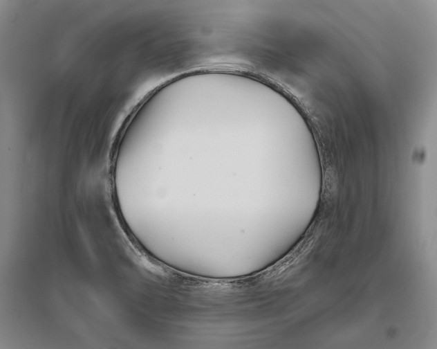 X0000096991470200802291158