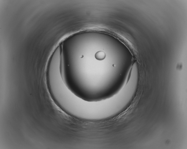 X0000096991471200802291157