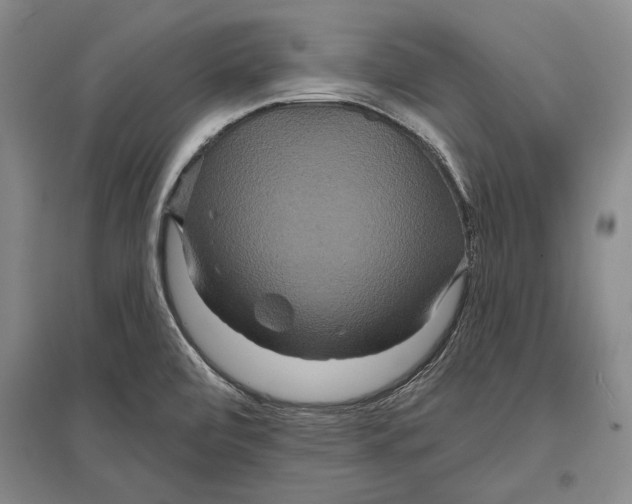 X0000096991472200802291157