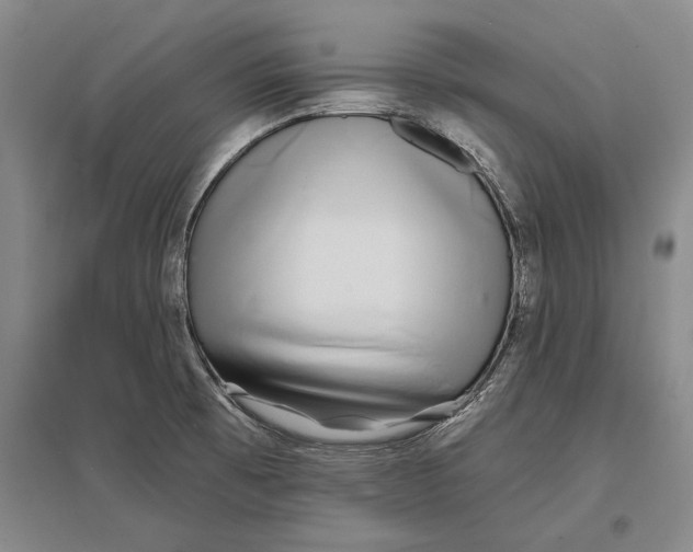 X0000096991473200802291157