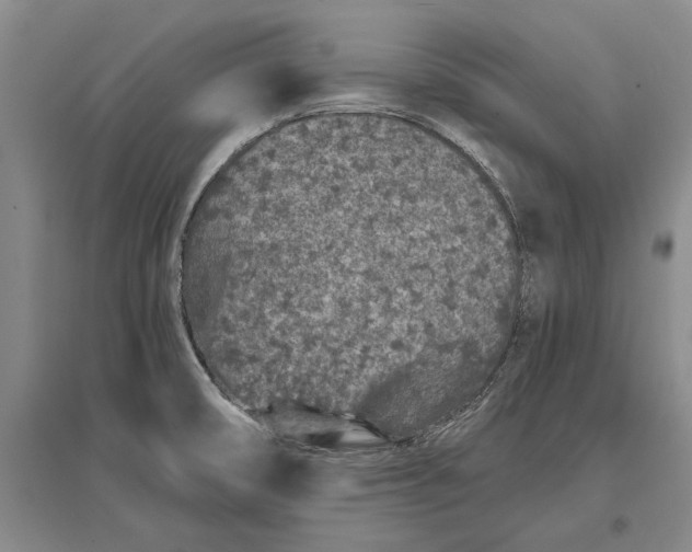 X0000096991474200802291157