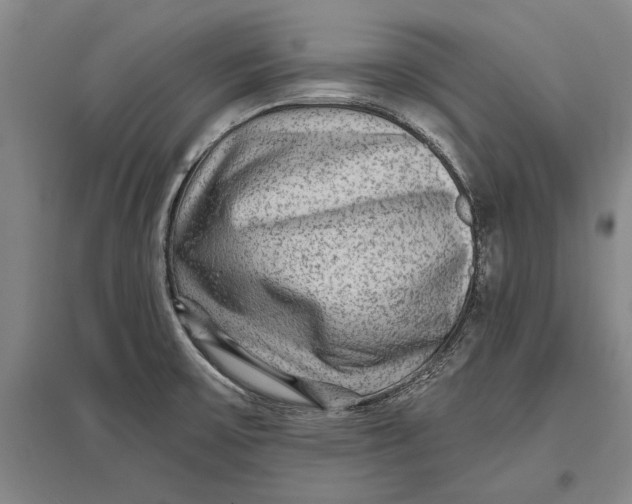 X0000096991475200802291157