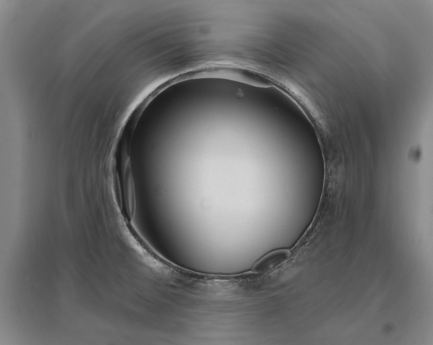 X0000096991476200802291157