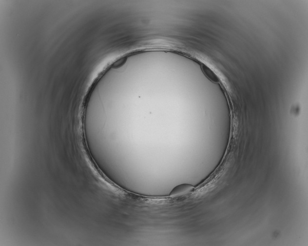 X0000096991477200802291157