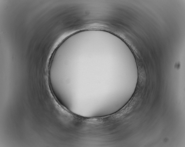 X0000096991478200802291157