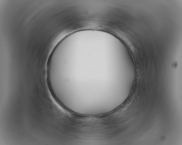 X0000096991479200802291157