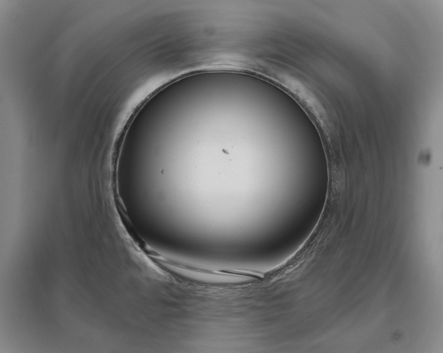 X0000096991480200802291157