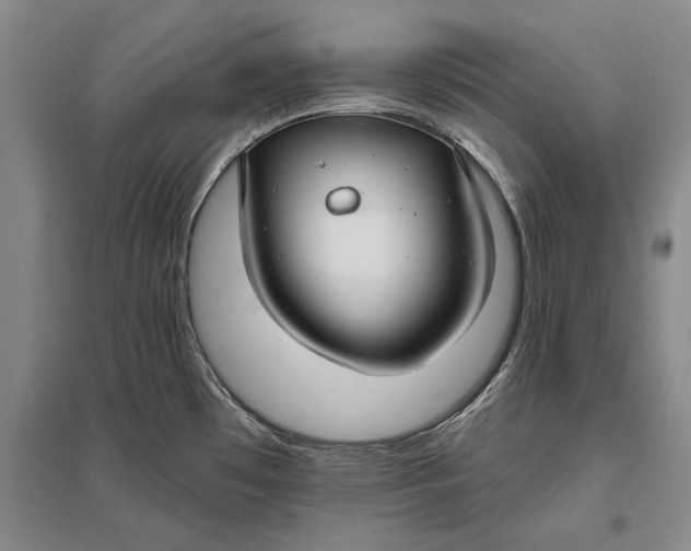 X0000096991481200802291157