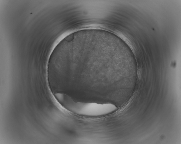 X0000096991482200802291157