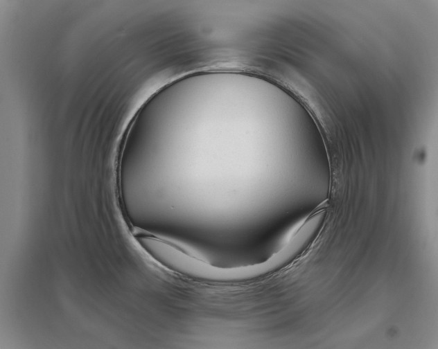 X0000096991483200802291157