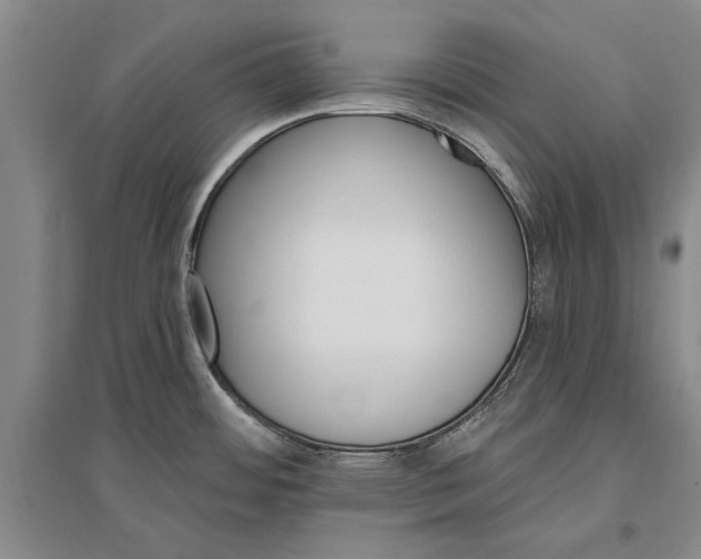 X0000096991484200802291157