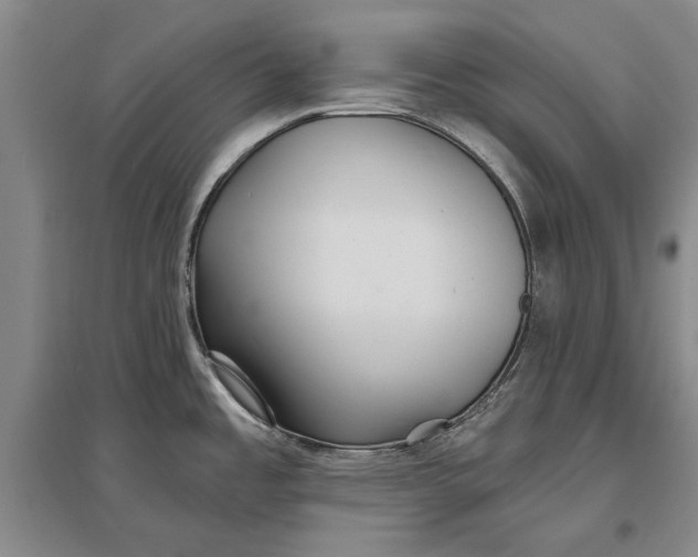 X0000096991485200802291157