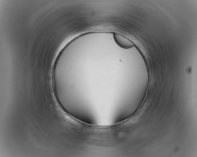 X0000096991486200802291157