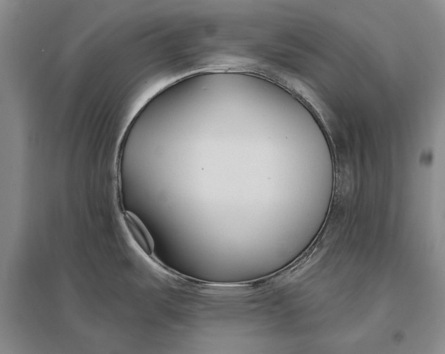 X0000096991487200802291157