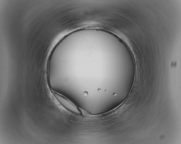 X0000096991488200802291157