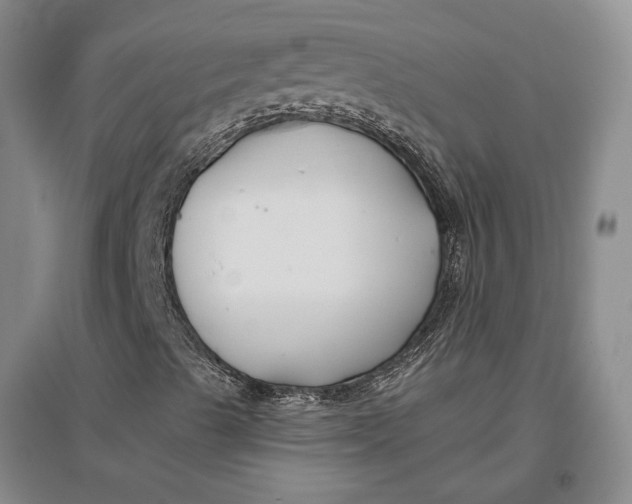 X0000096991489200802291157