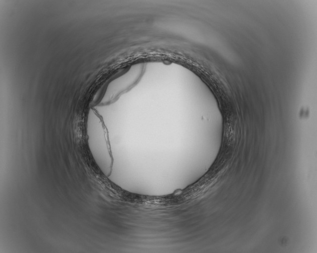 X0000096991490200802291157