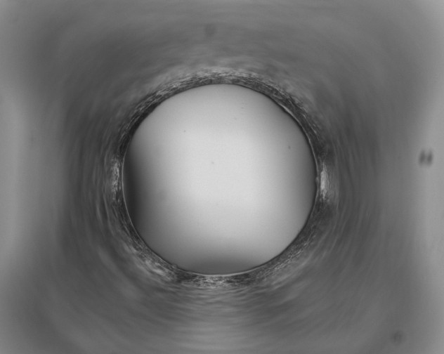 X0000096991492200802291157