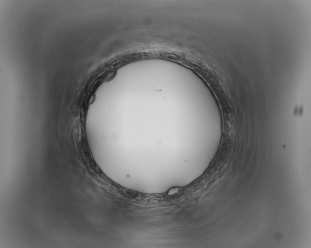 X0000096991493200802291157